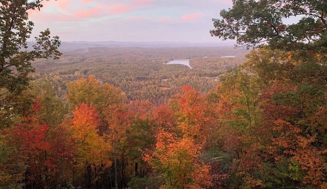 Beautiful views from every room in this spacious, secluded home with fast wifi