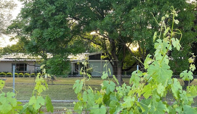 Beautiful Vineyard Accommodation