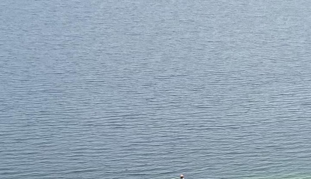 Beautiful Water View with nearby Beaches