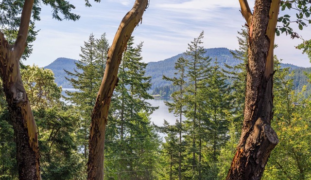 Beautiful Water Views, Pet- Friendly, Close to Town, Beaches, Hiking, Kayaking