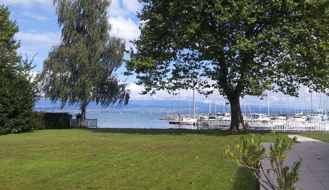 BEAUTIFUL WATERFRONT