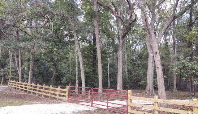 Beautiful, wooded campsite in Branford, FL perfect for outdoor adventures