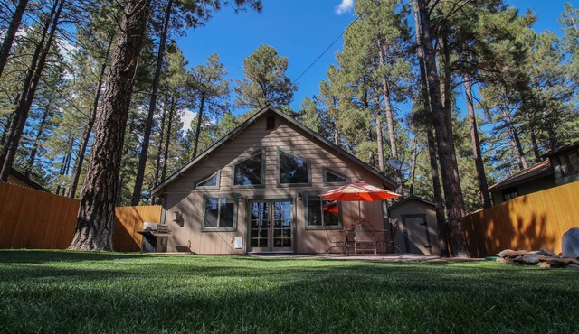 Beautiful Wooded Dream Cabin Backs Forest