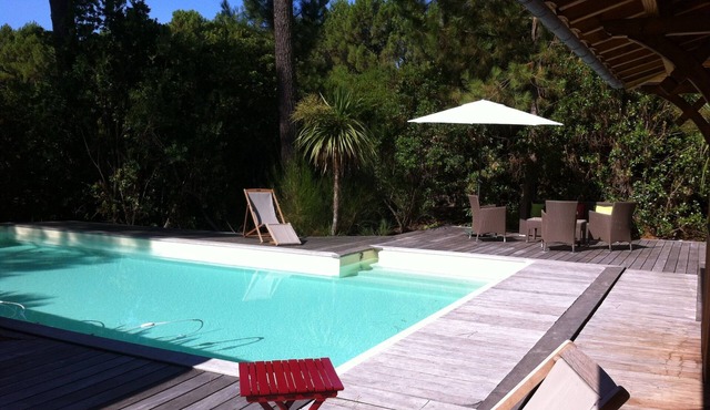 Beautiful wooden contemporary house with swimming pool