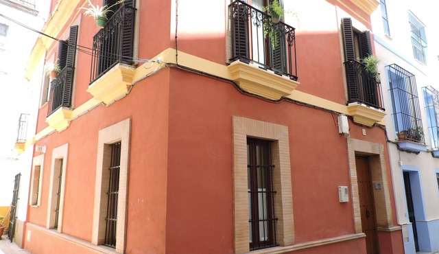 Beautiful XVIII c. house in Barrio Santa Cruz with large private terrace.