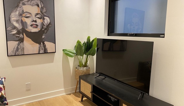 Beautifull, modern 3 bedrooms/3bathrooms condo in the Plateau Mont-Royal