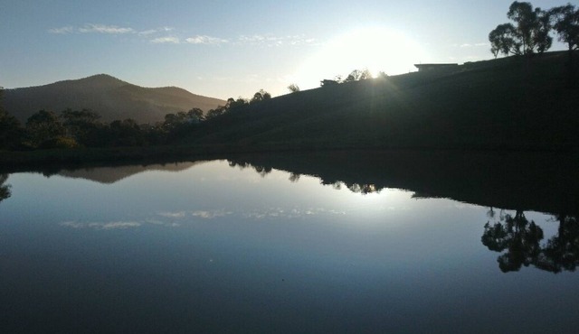 Beautifully appointed Tiny House.