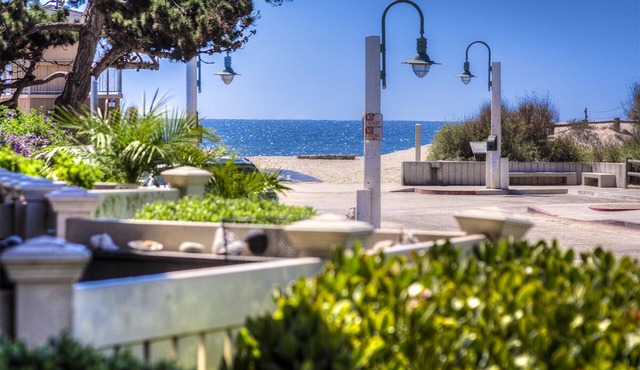 Beautifully Decorated Condo Steps to Beach