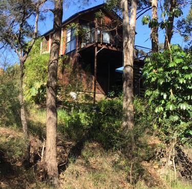 Beautifully Elevated Treehouse Apartment