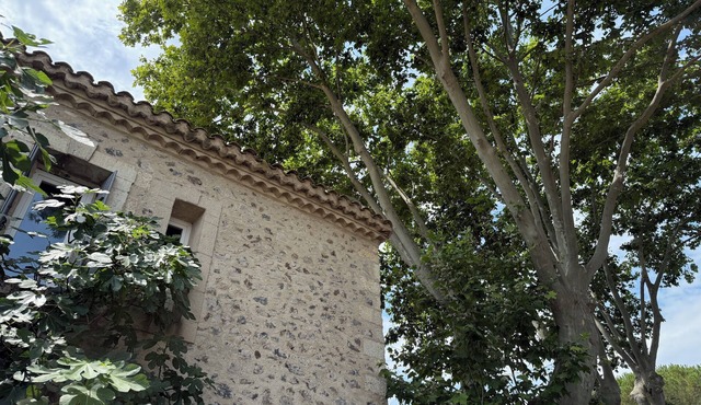 Beautifully restored stone house with chic studio in Languedoc