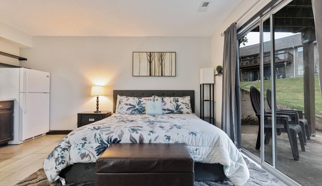 Beautifully Remodeled Walk-in Studio!Pet-Friendly 15 mins to Silver Dollar City