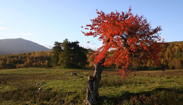 Beautifully Renovated Stone Cottage Secluded In a valley With Stunning Views