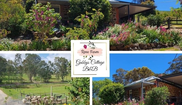 Beautifully renovated country cottage located near Mclaren Vale's best wineries