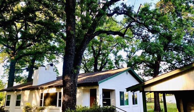 Beautifully Renovated Home near Downtown Waco, Baylor Univ. & Magnolia Silos