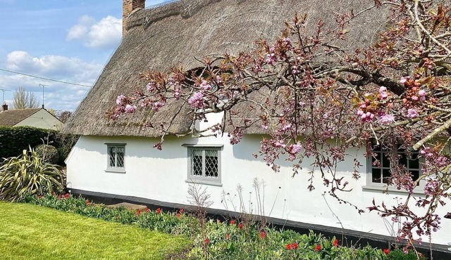 Beautifully Restored Thatched Cottage with Modern Comforts