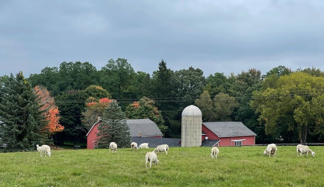 Beautifully Restored Five Bedroom 1860 Barn