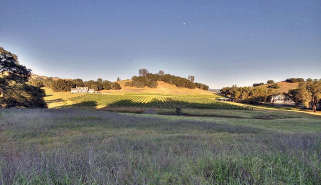 Beauty in the Heart of Coloma Valley: Winery Estate Farmhouse in the Vineyards
