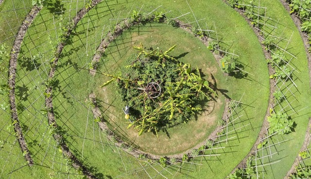 Beauty Park - Amazon cabin 2 people