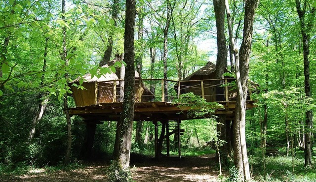 Beauty Park - Capucins family cabins 5 people