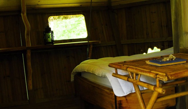 Beauty Park - Chimpanzee Hut 4 people