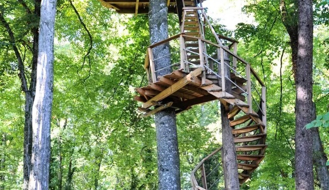 Beauty Park - Lemurian Hut 2 people