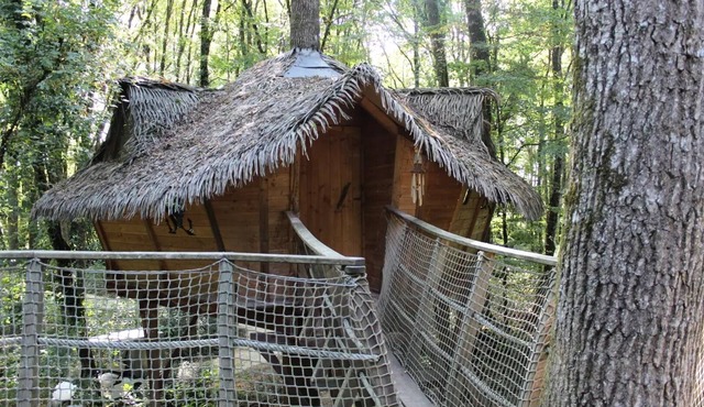 Beauty Park - Squirrel Cabin 4 people