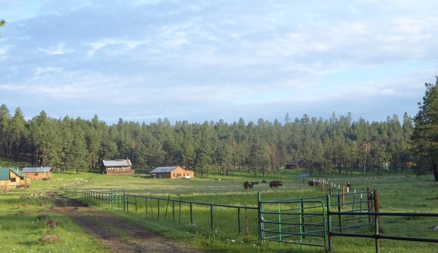 Beaver Creek Guest Ranch is your scenic getaway.
