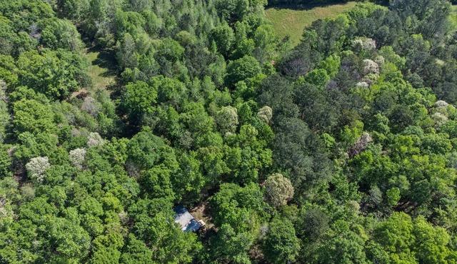 Beaverdam Bliss Cabin on 14 acres