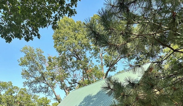 Becker's Bungalow on Monkey Island with outdoor deck! Pet & family friendly!