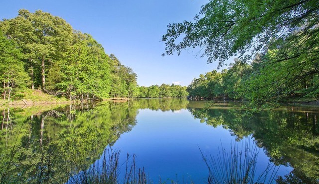 Becks Lake Studio n Fire Pit 3/4 mile to Silver Comet Trailnnear wedding venues