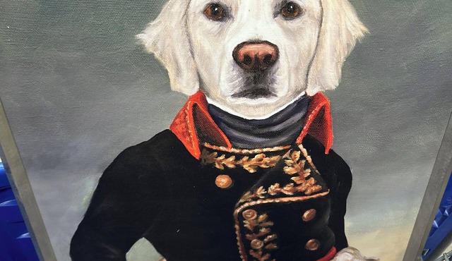 Bed and Biscuit Inn nPet friendly !nNear Kingdom come park & Pine mtn.