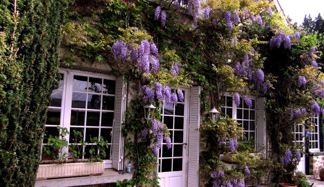 Bed and breakfast , chambres d'hotes with swimming pool