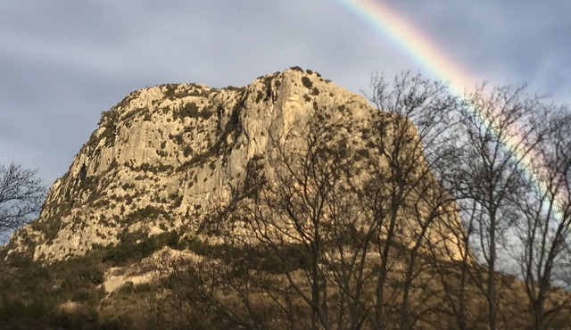 Bed and Breakfast Buèges Valley "Bonheur"