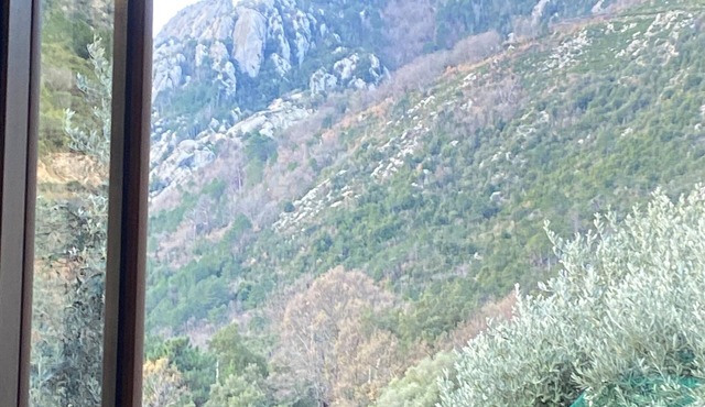 Bed and breakfast Centre Corse 2