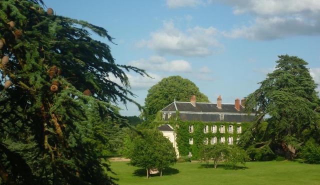 Bed and Breakfast - Château du Vau