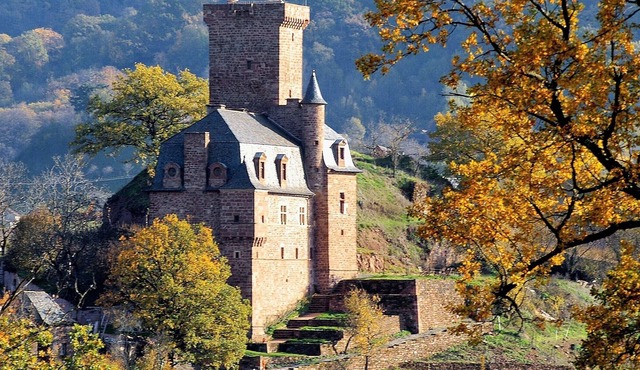 Bed and breakfast CHATEAU LA SERVAYRIE near CONQUES