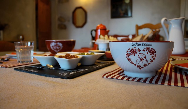 Bed and Breakfast 'Chez Louve Bleue Chambre Côté Ruche' with Mountain View, Shared Terrace and Wi-Fi