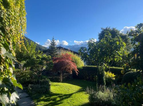 Bed and Breakfast Il Cardellino