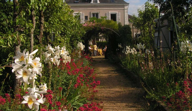 Bed and Breakfast in a character house in Châteaudun