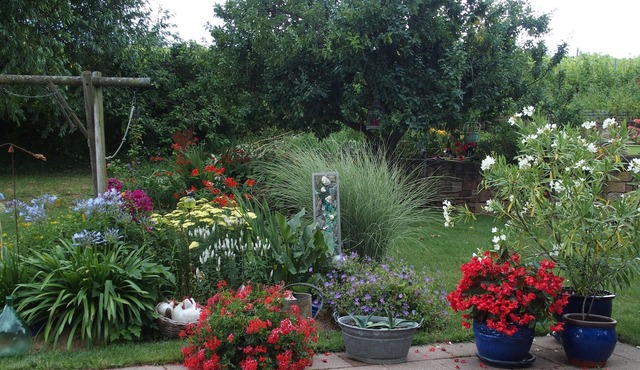 Bed and breakfast in Chatenois - center alsace