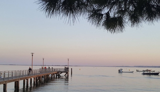 Bed and breakfast in the heart of the Arcachon basin