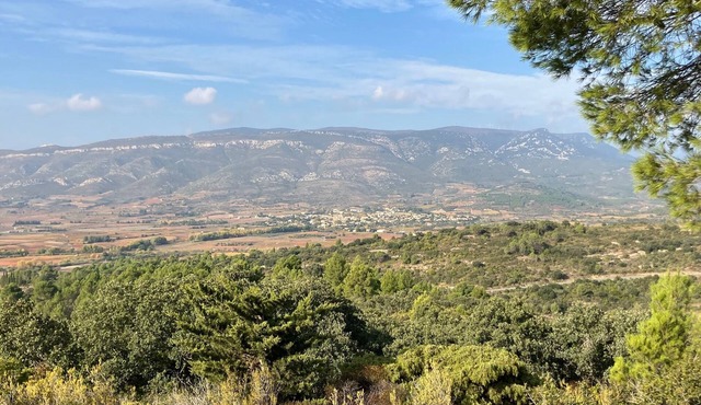 Bed and breakfast : Les maisons de Gaïa