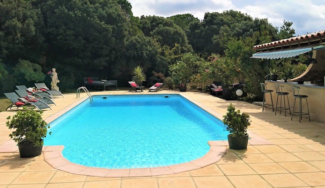 Bed and breakfast rental - 15 mn de Carcassonne - Swimming pool