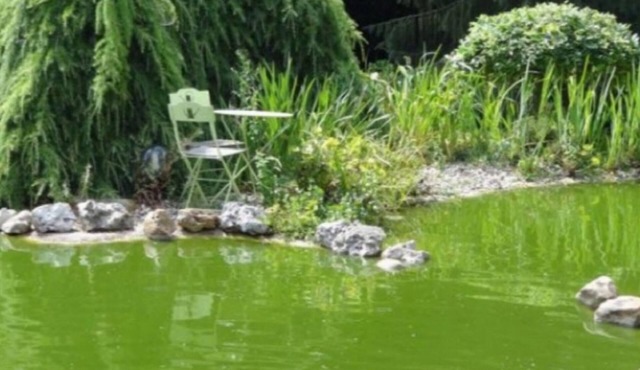 bed and breakfast house on the water