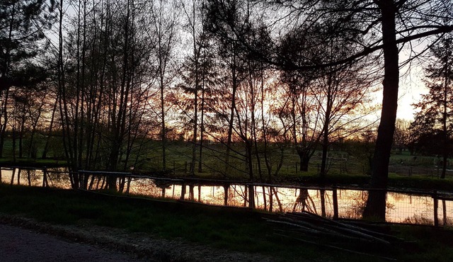 Bed and breakfast Le Moulin de Charin- Wheat in grass- Puy du Fou