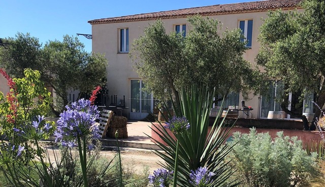 Bed and breakfast in Camargue