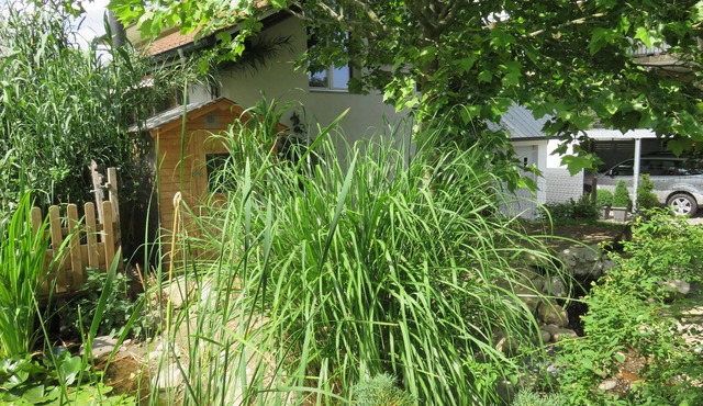 Bed & Breakfast Erlach