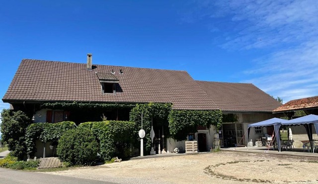 Bed & Breakfast in einer Kunstgalerie