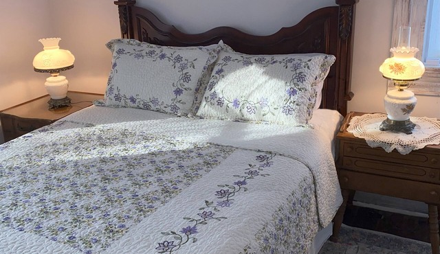 Bed & Breakfast private room near Notre Dame