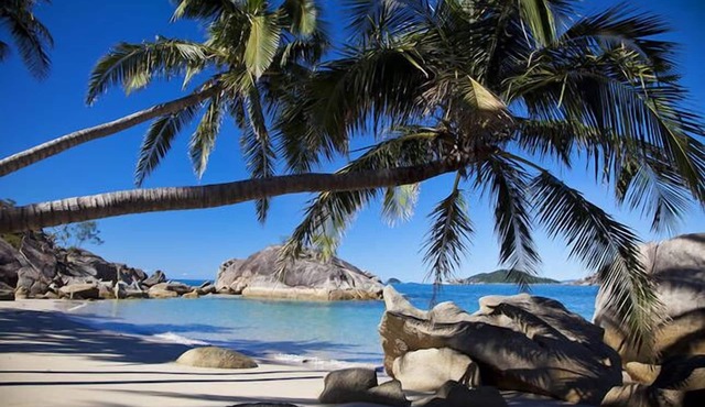 Bedarra Beach House nFree water transfers included with Bedarra Water Transfers